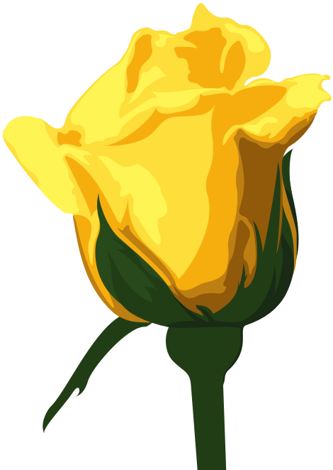 Yellow Rose Clipart Transparent - Png Yellow Rose (470x662)