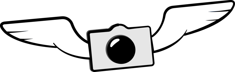 Cloud9logo Camera Bird - Logo Camera Png (1000x310)