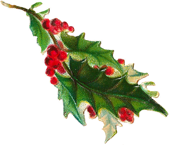 Free Christmas Clip Art - Holly Branch Png (842x739)