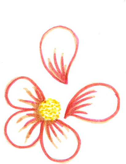 Transparent Fashion Drawings - Drawings Transparent (500x562)