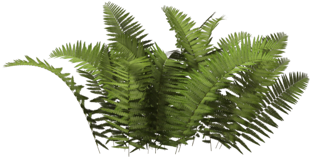 Plants Png Hd - Plants Png (1024x639)