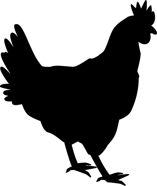 Free Image On Pixabay - Chicken Silhouette Png (540x640)