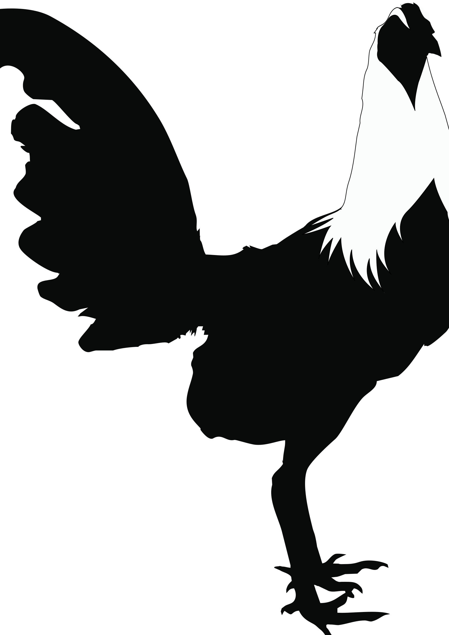 Rooster-black&white - Black And White Rooster (1697x2400)