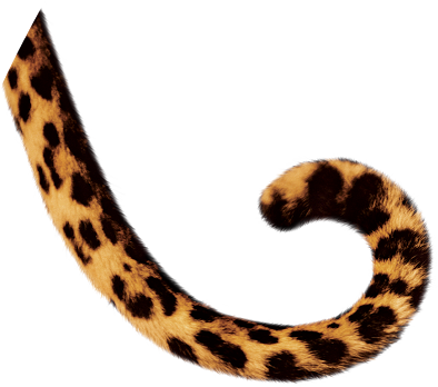 Tail Clipart - Tail Clipart (400x347)
