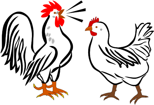 Hen And Rooster Clip Art At Clker - Hen And Rooster Cartoon (600x386)