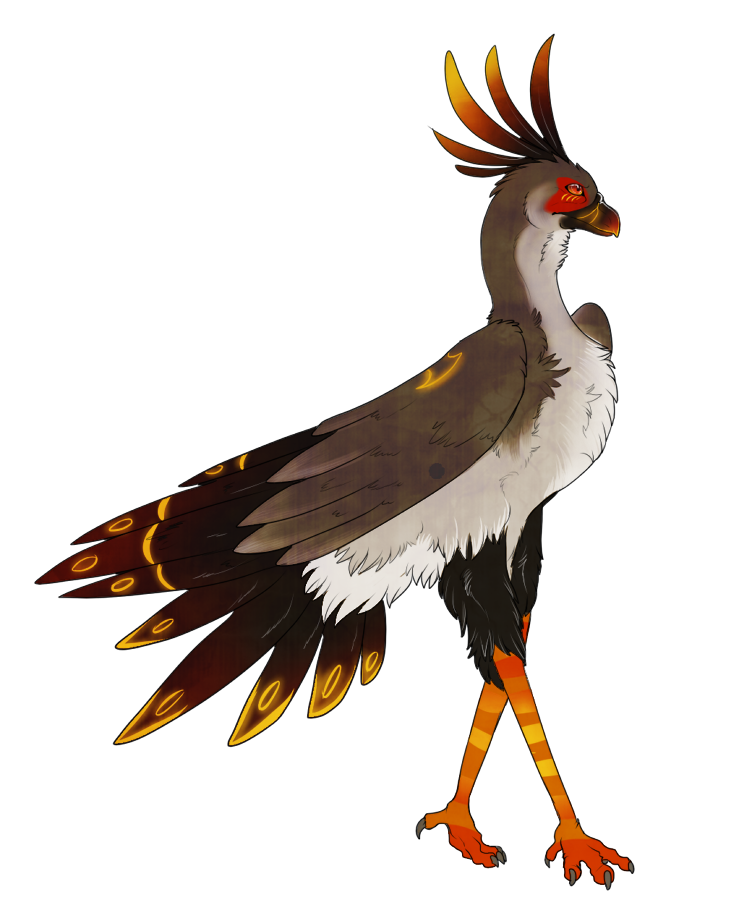 Secretarybird Clip Art - Secretarybird Clip Art (752x900)