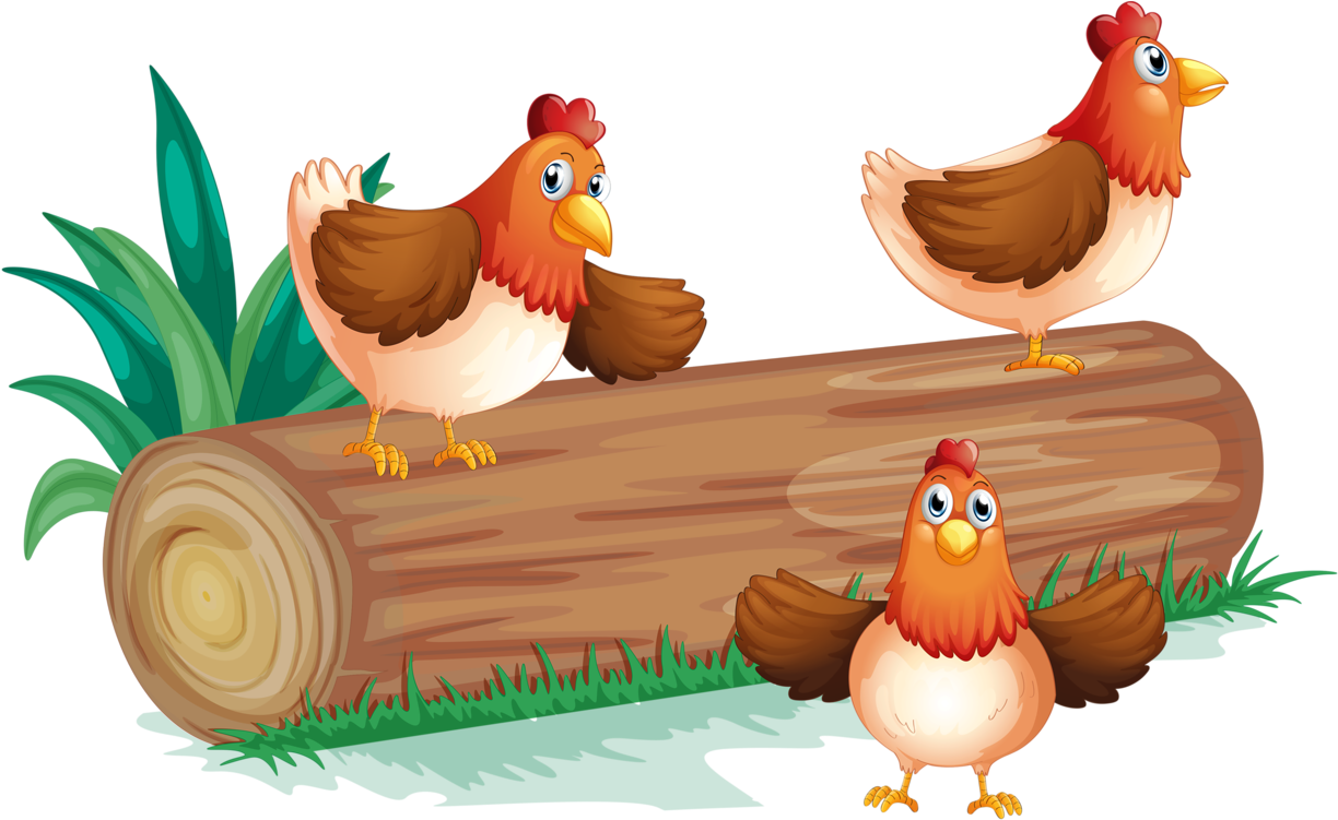 Image Du Blog Zezete2 - Chicken (1280x750)