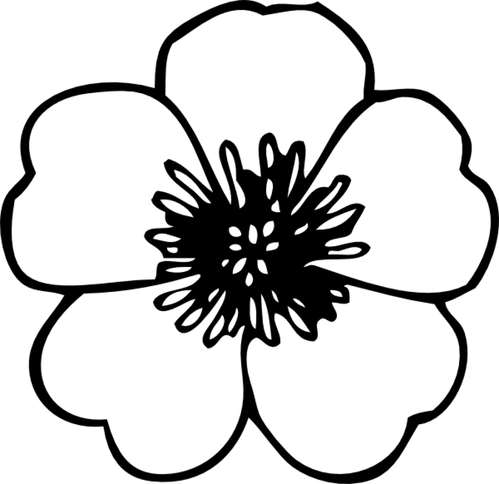 Big Petal Flower Coloring Pages Flower Petal Pattern - Flower Black And White (1024x993)