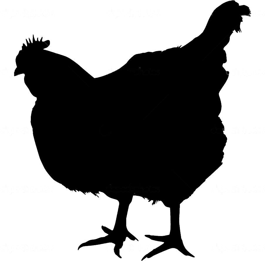 Farm Chicken Png - Chicken Silhouette Transparent Background (950x950)