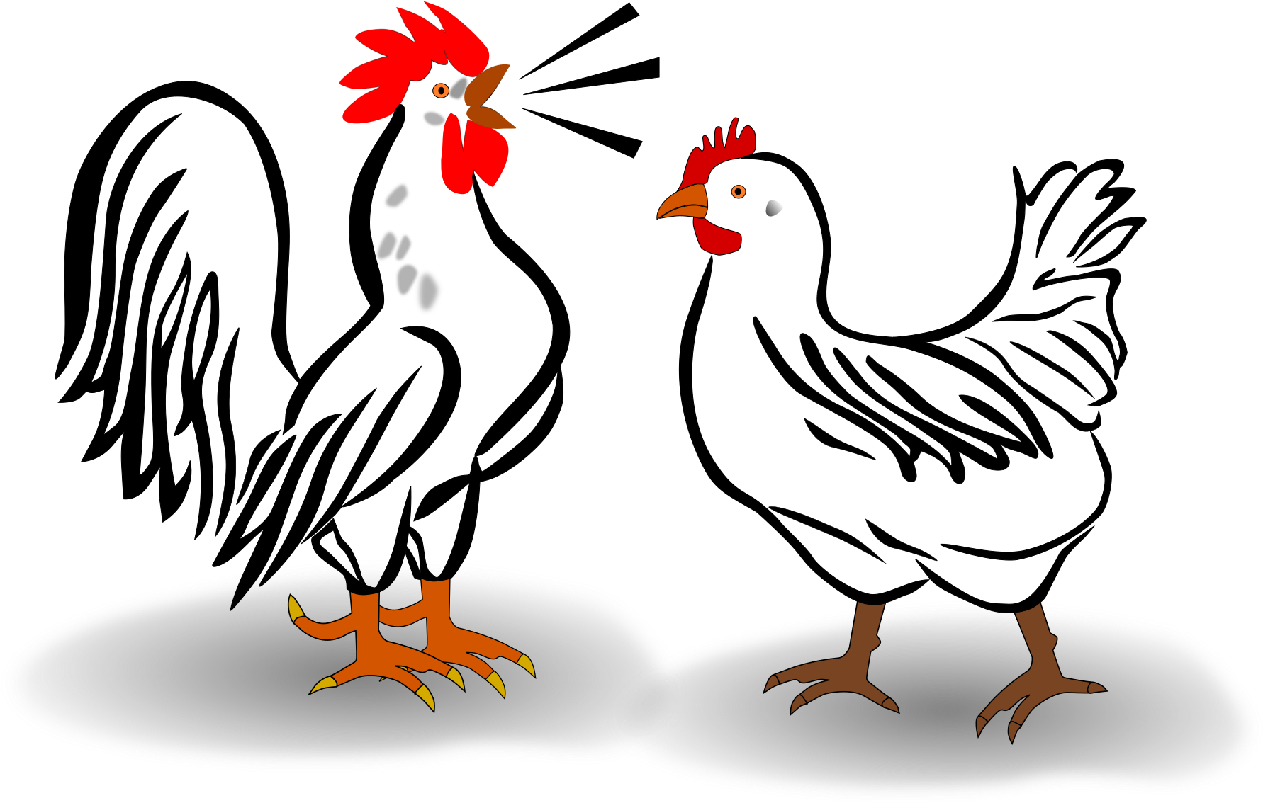 Rooster And Chicken Ljiqyy Clipart - Rooster And Hen Shower Curtain (2400x1697)