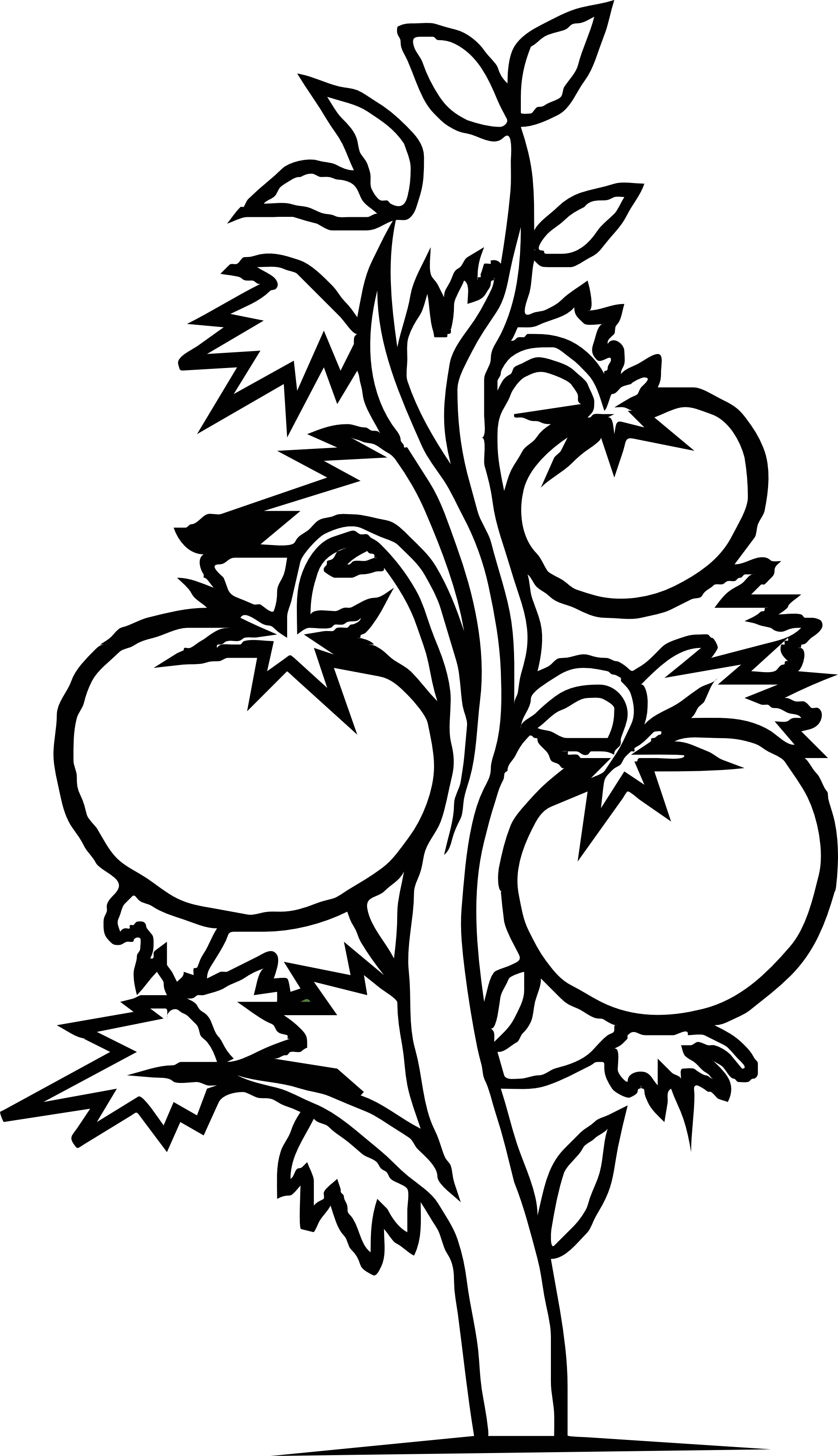 Tomato Clipart Coloring Page - Tomato Plant Clip Art (1979x3438)