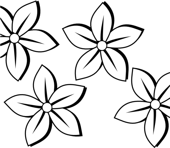 Outlines Of Flowers For Colouring Sunflower Clipart - Flowers Clipart Black And White (678x600)