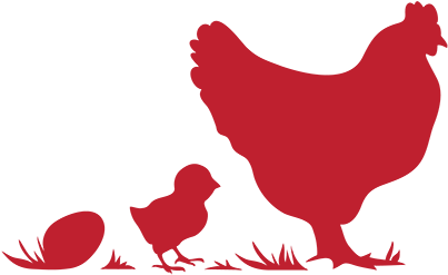 Rent A Chicken Logo Clipart - Farm Fresh Eggs Sign (600x600)