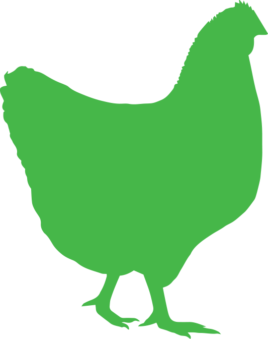 0 - Rooster (533x672)