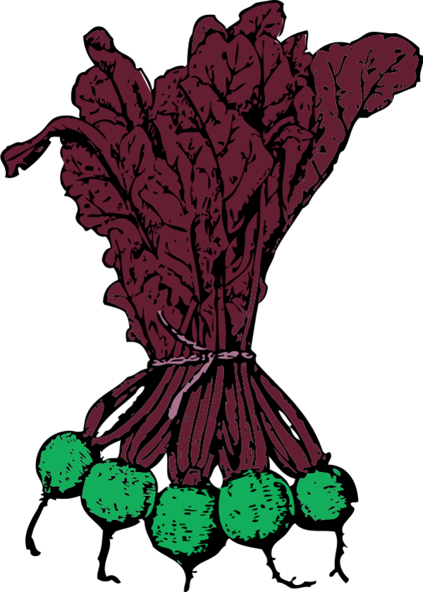 Vector Clip Art - Beets Clip Art (600x839)