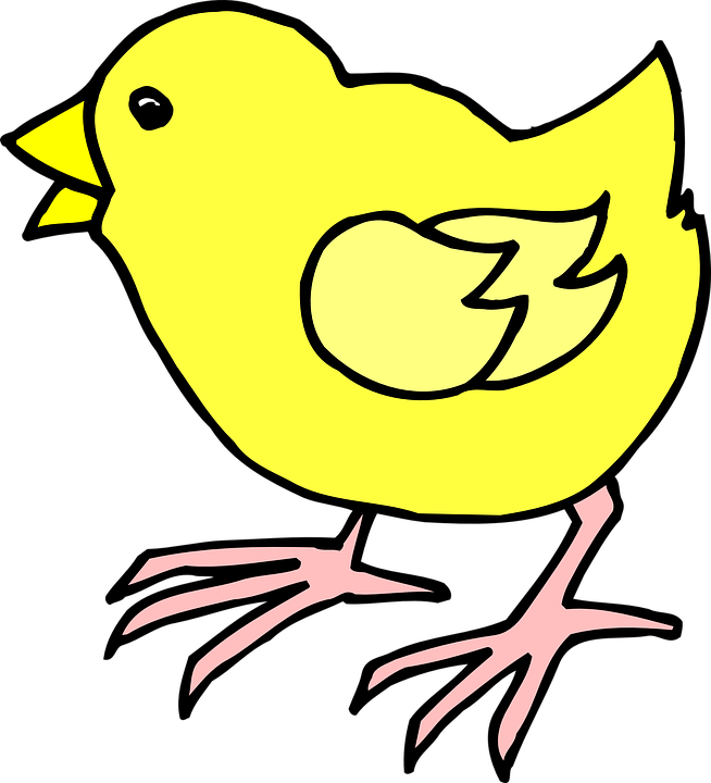 Cartoon Baby Chick Clip Art At Clkercom Vector Online - Cartoon Picture Of Chicks (654x720)