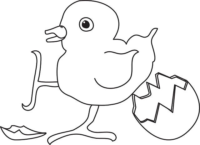 Baby, Outline, Farm, Bird, Egg, Art, Chick, Shell - Illustration (640x463)