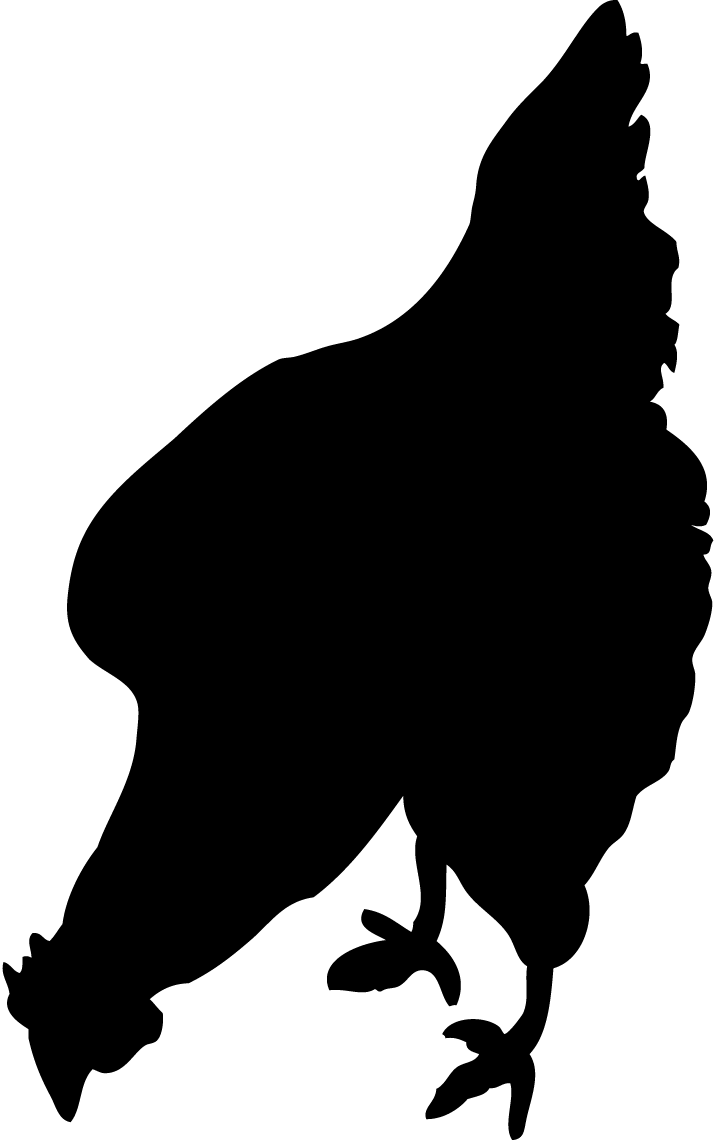 About Us - Buzzard (716x1140)