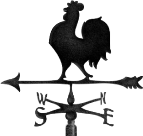 Vane Eng - Galo De Celeiro Png (510x300)