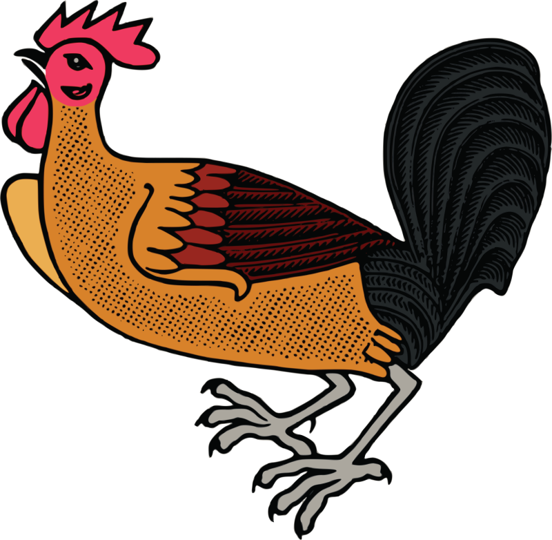 Pin Free Chicken Clipart - Cockerel Chicken Pixabay (800x782)