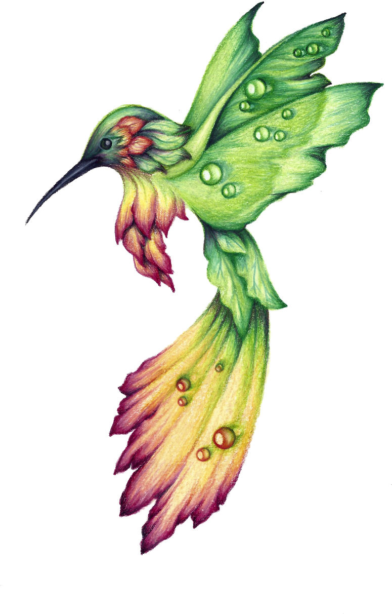 I Have To Try Drawing This - Hummingbird Drawing (816x1264)