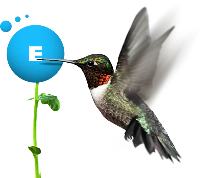 Czystą Produkcję, Czyli Stałe Dążenie Do Zmniejszania - Atb Bird Feeder Window Suction Cup Mixed Treat Clear (685x602)