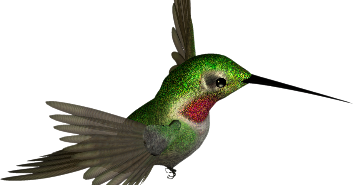 Free High Resolution Graphics And Clip Art - Hummingbird Clipart (1200x630)