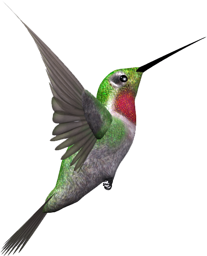 Fondos, Figuras Decorativas, Ilustraciones Para Tarjetas, - Bird (418x515)