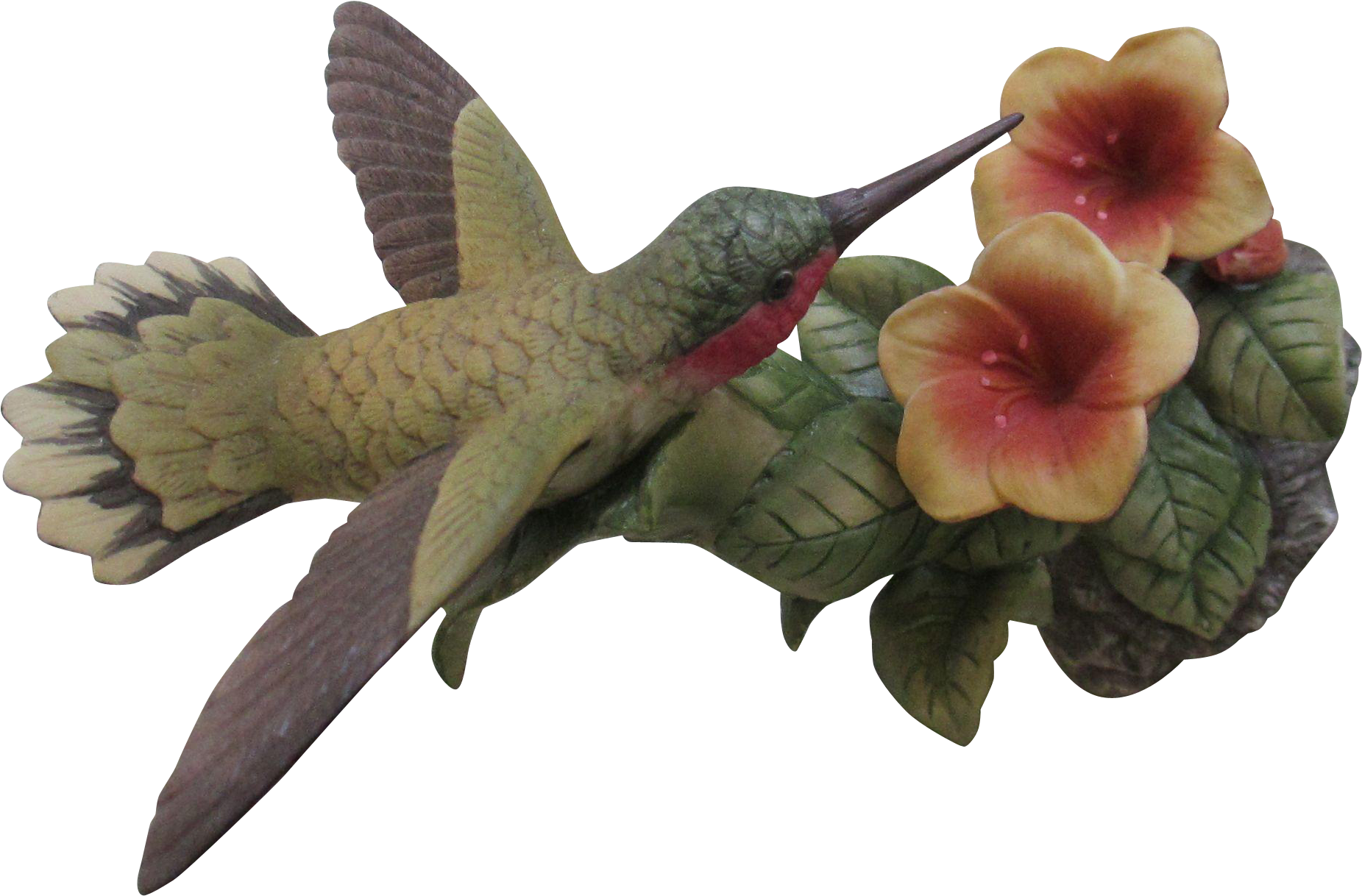 Ruby-throated Hummingbird (1850x1850)