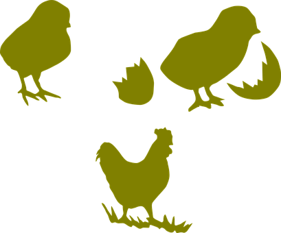 Chicken Cock Poultry Hen Farming Chick Coc - Outline Chickens Clipart Png (409x340)