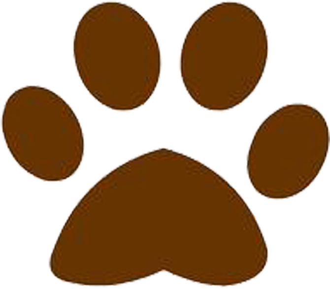 Tiger Dog Paw Scalable Vector Graphics Clip Art - Tiger Dog Paw Scalable Vector Graphics Clip Art (800x800)