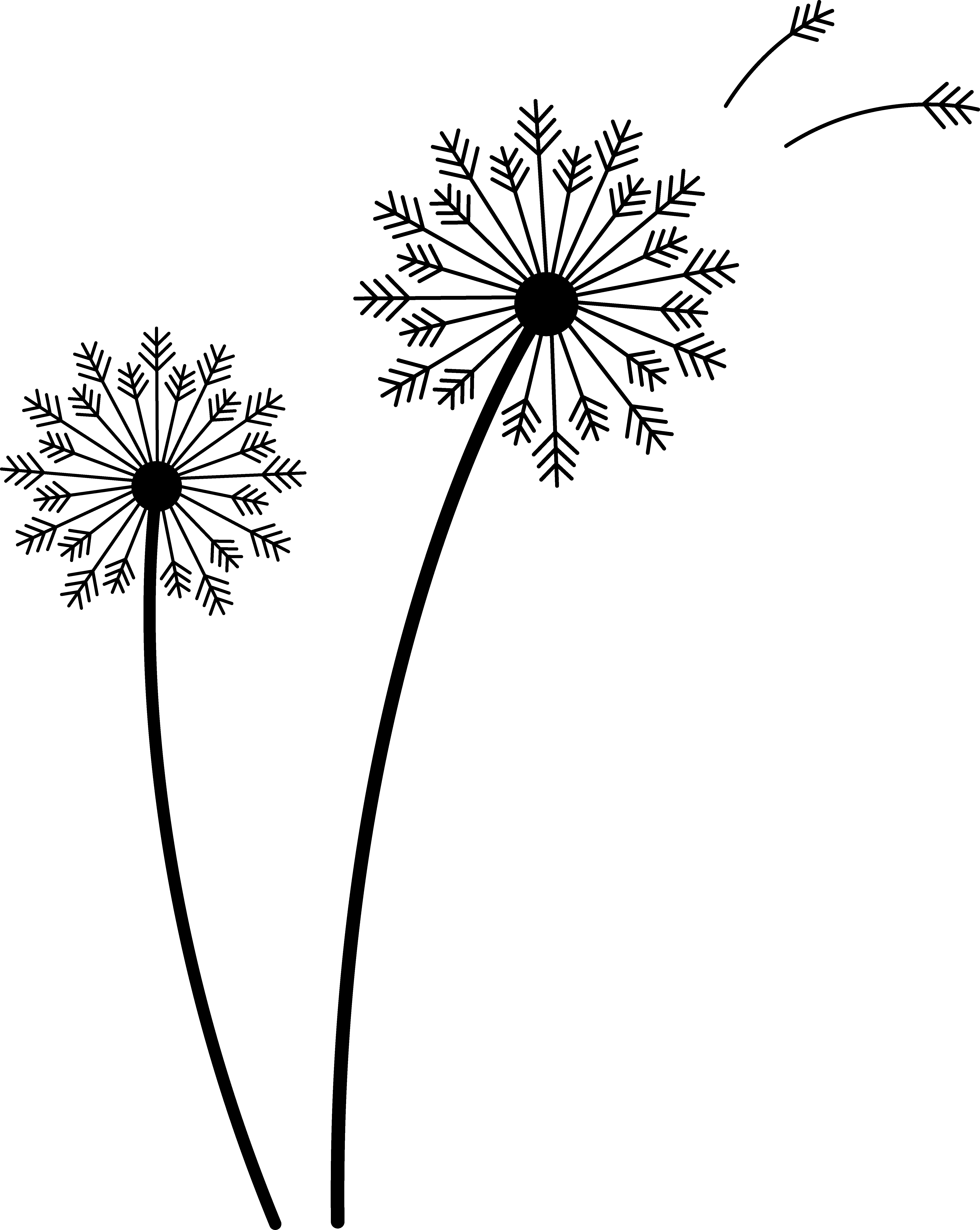 Art Dandelion - Google Search - Dandelion Clip Art Free (5388x6759)