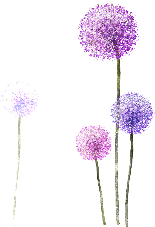 Material Transparente De Dente De Leão Púrpura - Dandelion Style Protective Case For Samsung Galaxy (650x1011)