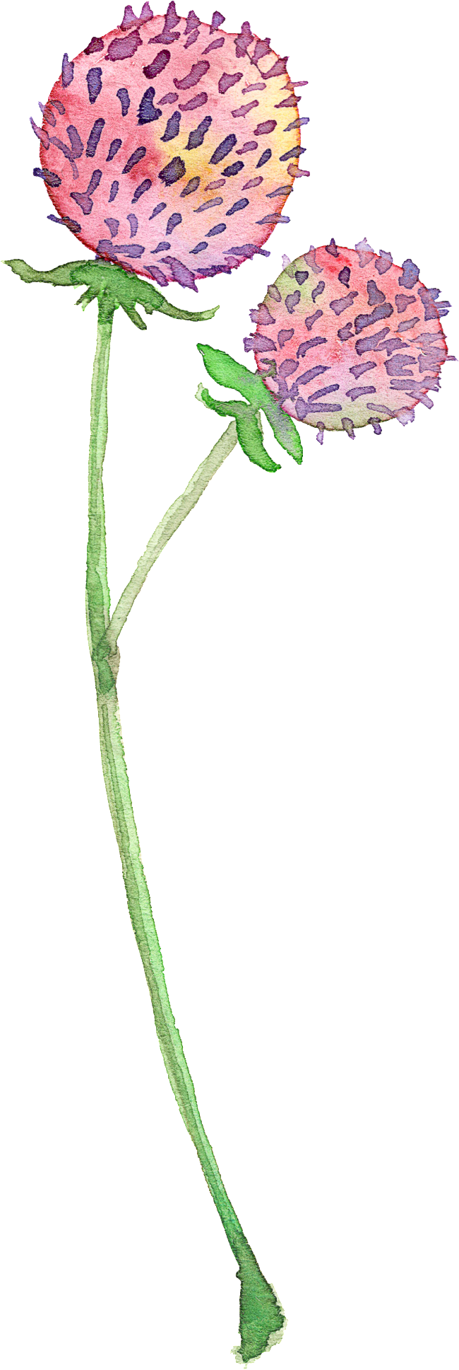 Cor De Rosa De Dente De Leão Cor De Rosa - Face Behind The Face (650x1937)