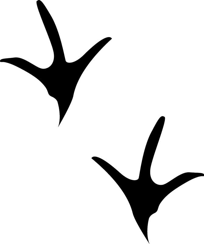 Chicken Tracks Rubber Stamp - Rubber Stamp (670x800)