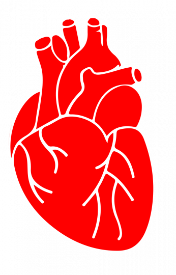 G's Tips For A Healthy Heart - G's Tips For A Healthy Heart (346x540)