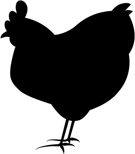 The Chicken Had Its Last Hurrah As A Roasted Dinner - Noun (600x517)