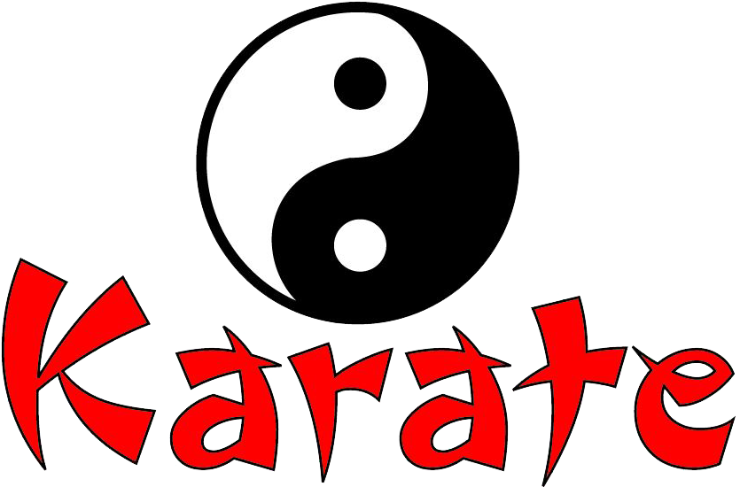 T-shirt Child Carter's Infant Boy - Karate Logo (888x622)