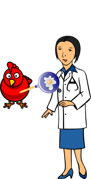 Doctor And Hen With Egg Clip Art At Clker - Woman Doctor Cartoon (300x592)