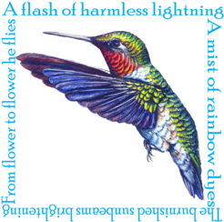 Ruby Throated Hummingbird Poem - Cafepress Hummingbird Poem Tile Coaster (674x518)