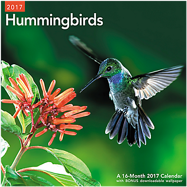 Mead 2017 Hummingbirds Wall Calendar (lme202_17) - (683x383)