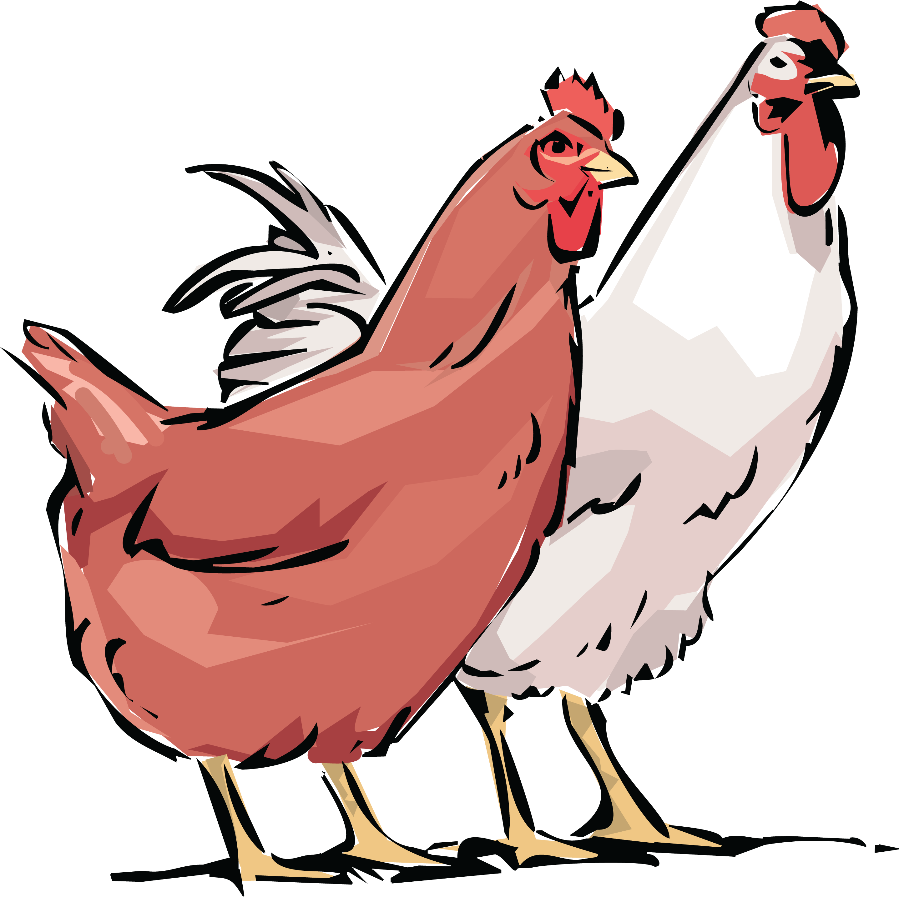 - Ai, - Eps, - Svg, - Free Clipart Of A Chicken - Hen And Rooster With Chickens Tote Bag (4000x4000)