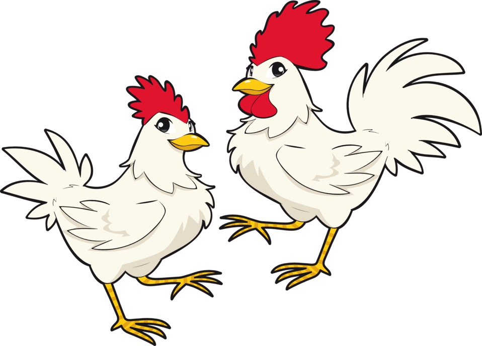 Cute Cartoon Chicken - Custom Chicken Shower Curtain (958x688)