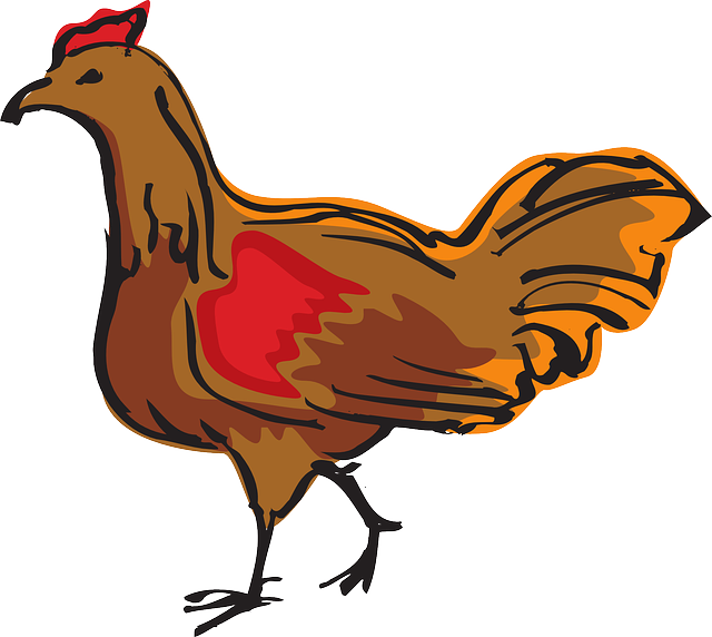Brown, Farm, Bird, Chicken, Art, Walking, Animal - Gambar Animasi Ayam Berjalan (640x572)