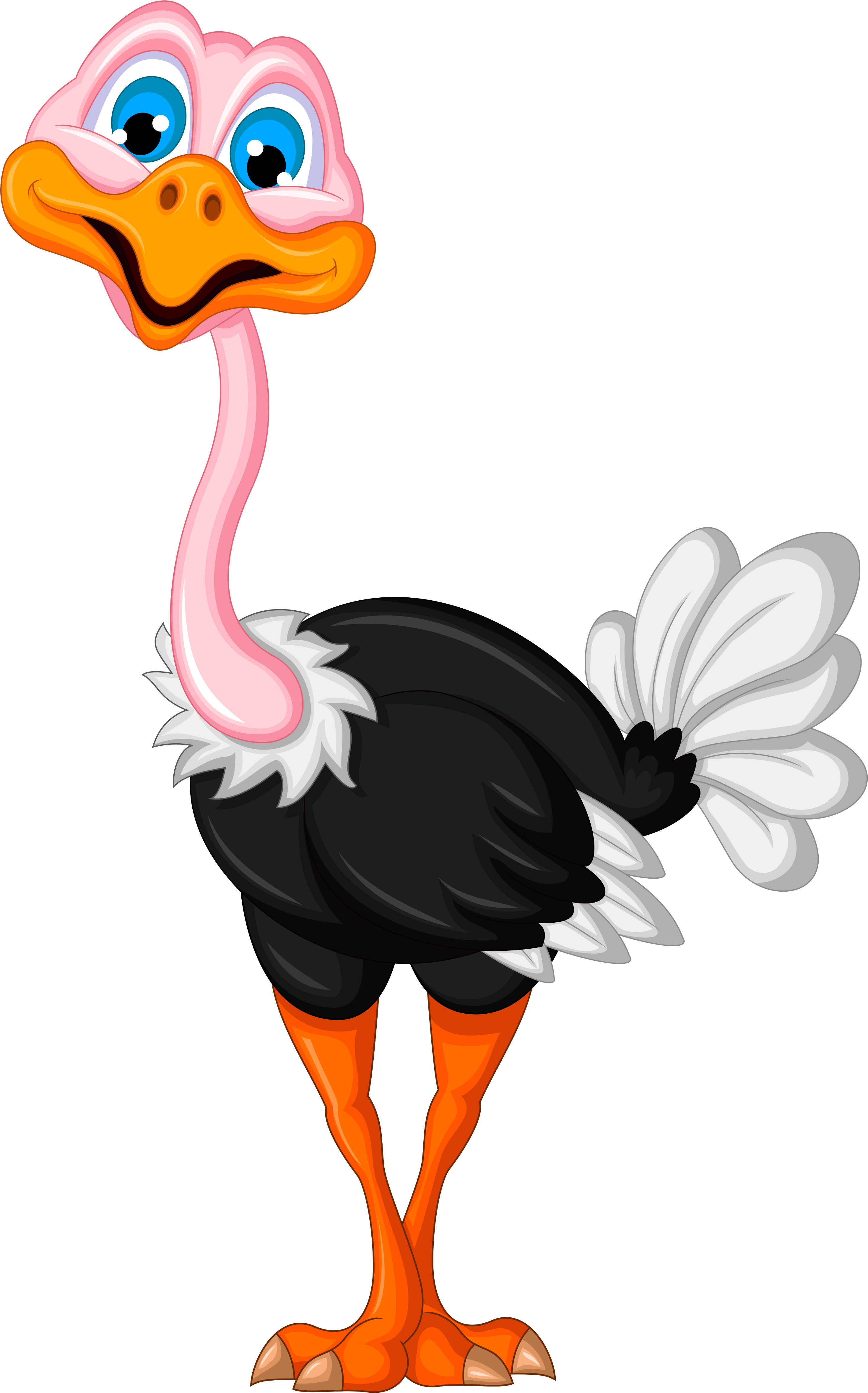 0 F5d56 B7996ebe Orig - Cartoon Images Of Ostrich (3160x4928)
