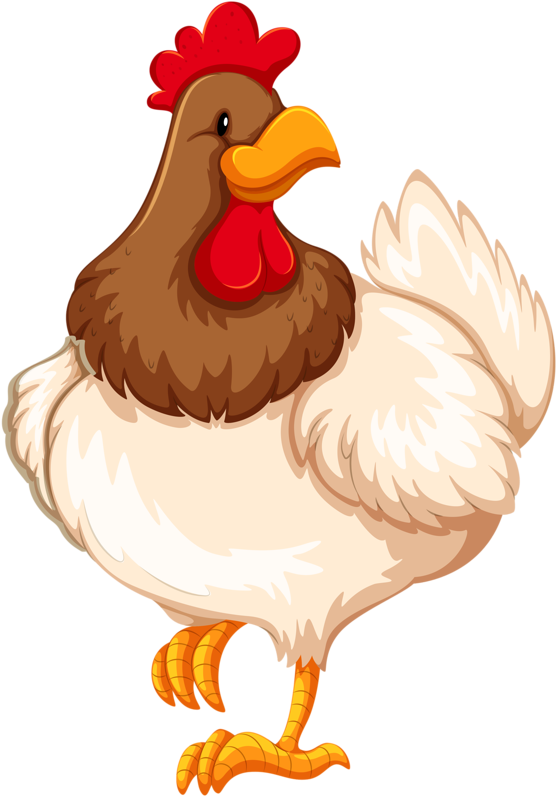 Chicken Clipart Png (612x800)