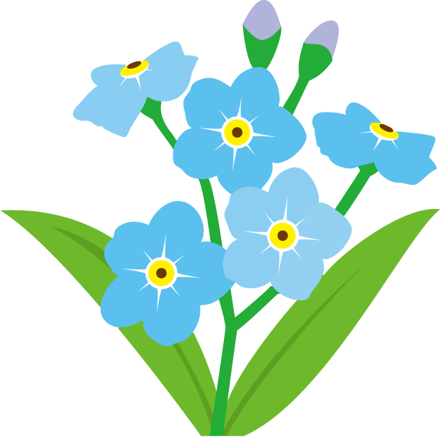 Forget Me Not Flower Clip Art - Forget Me Not Flower Clip Art (617x614)