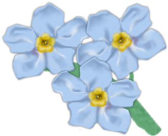 Forget Me Not Png Transparent Picture - Drawing (500x375)