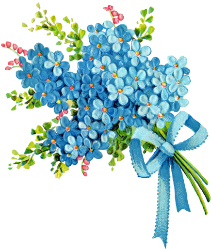 Catnipstudiocollage - Victorian Forget Me Not (449x525)