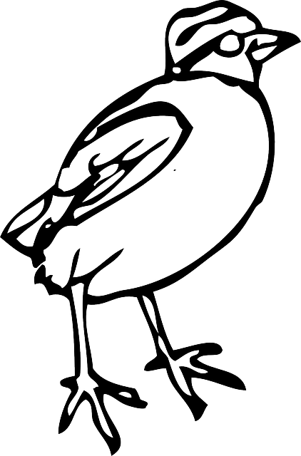 Standing Cartoon, Little, Birds, Bird, Stand, Animal, - Bird Clipart (422x640)